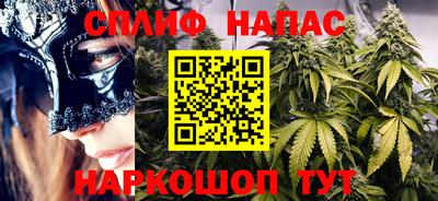 сатива Коммунар
