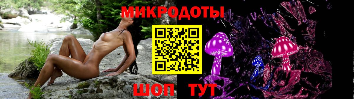 Зерноград  Галлюциногенные грибы прущие грибы  Вход с VPN 
